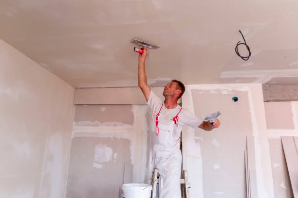 Best Drywall Installation  in Hamtramck, MI